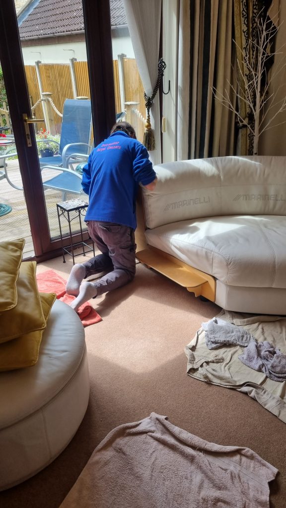 Leather couch cleaners near me