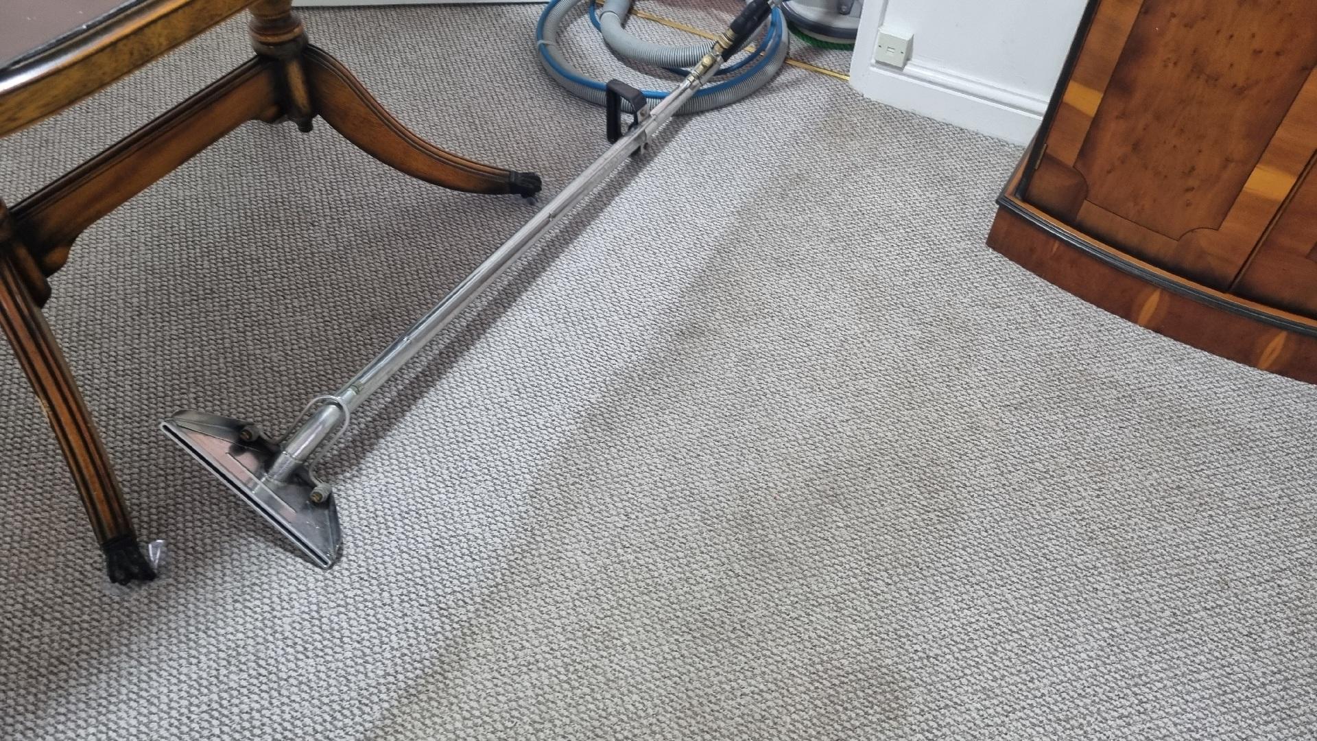 carpet cleaners Rossington