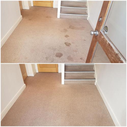 Carpet cleaning Doncaster