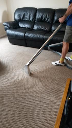 clean carpets doncaster carpet cleaners
